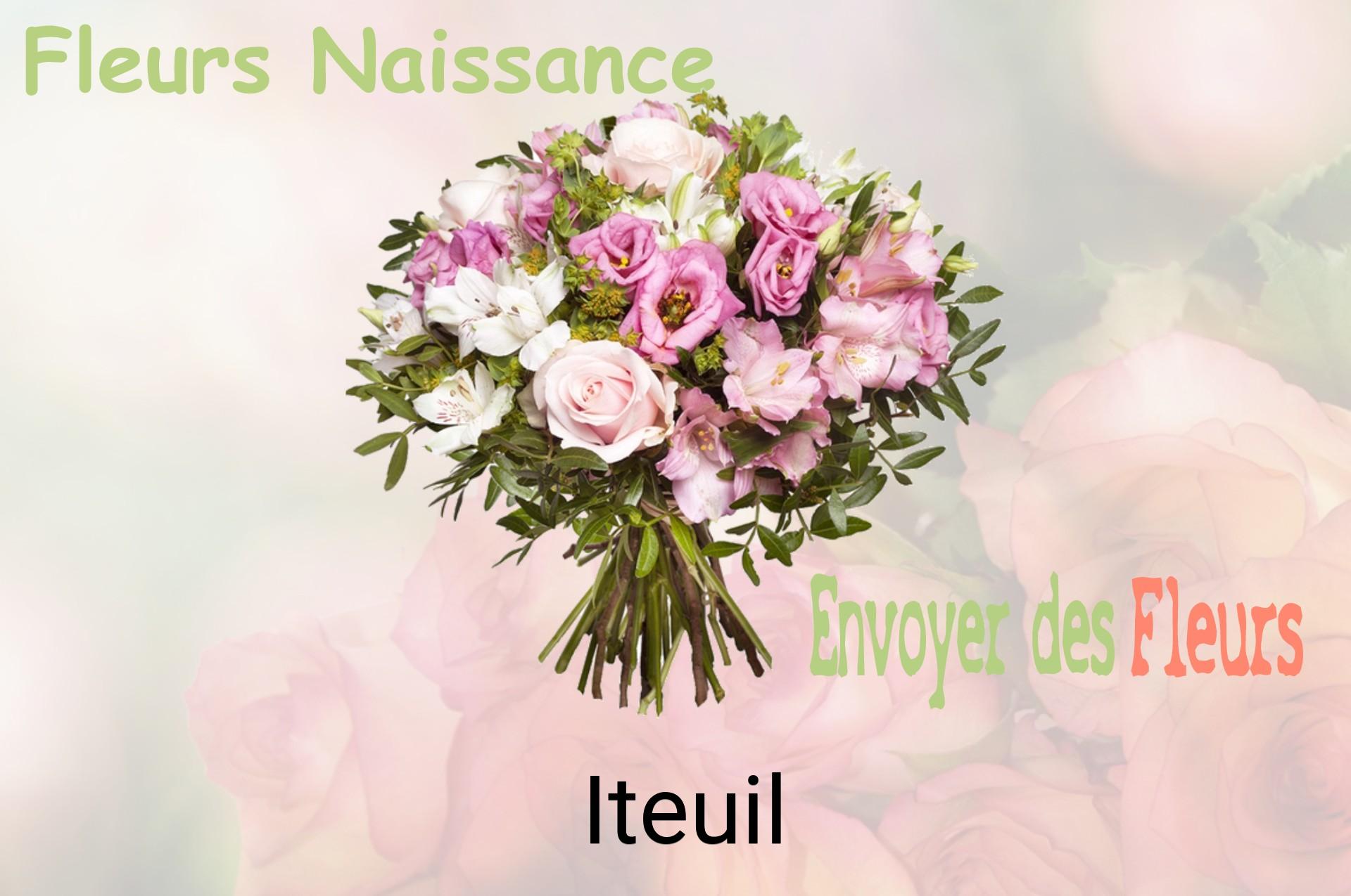 Bouquet de fleurs de naissance livré à Iteuil